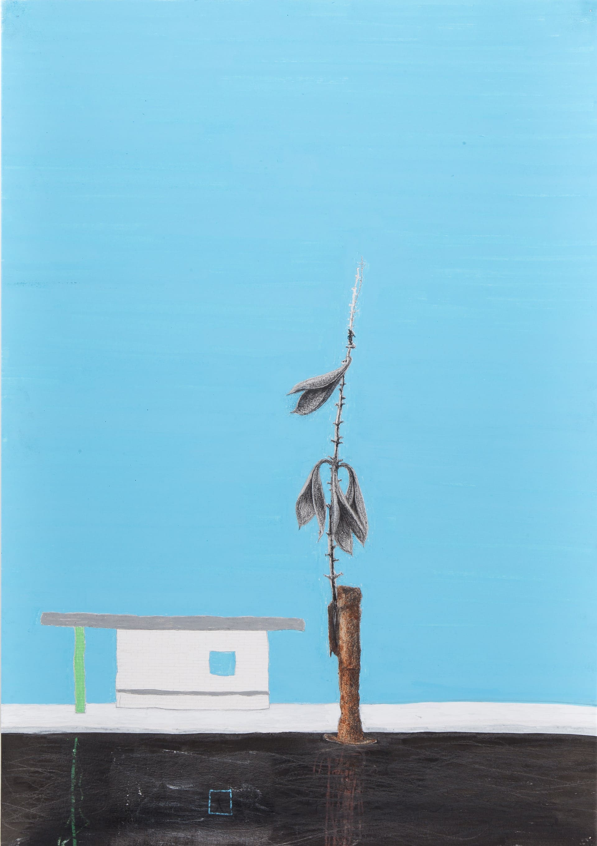 Seres fantásticos do Cerrado - Híbrido Obra de Marcelo Campos Calango.